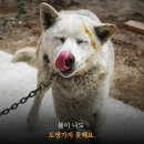 다정주택관리
