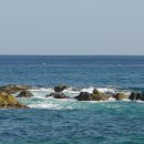 동해바다 이미지