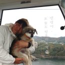 행복하시개 | 강아지와 춘천 삼악산 케이블카 타기 대기 시간 할인 받는법