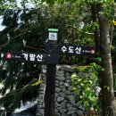 개금약초 이미지