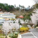 의료법인 순영의료재단 동아일보