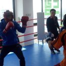 화랑복싱클럽 이미지