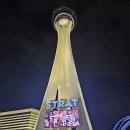 [THE STRAT] 더 스트랏 전망대, X-scream, Big Shot 후기