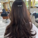 [경기 안양] 인덕원 미용실 &#34;리빌트 헤어&#34; 레이어드컷 C컬 펌 후기
