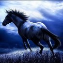 황성초등학교 이미지