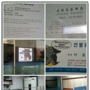 녹색흑염소 이미지