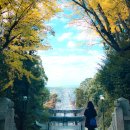 탄탄마을공방 | 후쿠오카 버스투어 비교 TOP 5: 후기 6,000개 vs 가성비 vs 이색코스 (2026 최신)