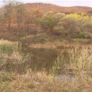 유운2리 이미지