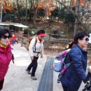(주)들머리