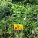 경포중학교 이미지