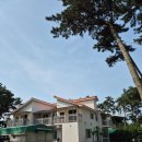 올게이츠2 | [태안] 숙소 추천 &#39;올게이츠&#39;펜션+몽산포해수욕장 해루질 후기+몽산포 수산시장 &#39;금성호&#39;