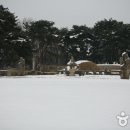 시선목장 이미지