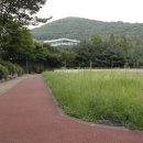 쉐르빌공인중개사사무소 이미지