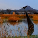 숲의하루 이미지