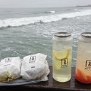 플레시피
