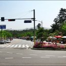 노점-농산물 Daum카페