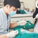 서울오치과 이미지
