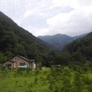 푸른산농원 이미지