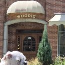 우딬(WooDic)