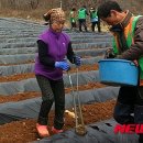 감자마을