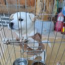 고운이네 한옥민박 이미지