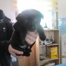 발한천길 이미지