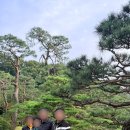 해누리 클린 | [W7] 곤지암리조트 화담숲 단풍 &amp; 양가 상견례 후기