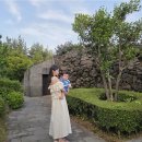 이준섭 | 아기랑 제주 숙소 추천｜롯데리조트 아트빌라스 제주 솔직 후기 (빌라형·독채)켄고 쿠마