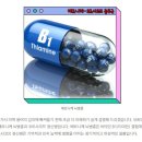 베르니케 이미지