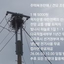 복권판매 티스토리