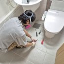 해빛로29 | 부산 기장 줄눈, 일광자이푸르지오 이사준비하며 욕실 및 폴리싱타일 시공 후기!