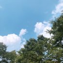 나이키에서 FLEX 한 내 돈 내산 후기! (에어맥스 270, 나이키 맨투맨)