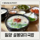 밀양돼지국밥 | 밀양 설봉돼지국밥 후기 메뉴 주차정보