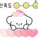 푸젤 강아지유치원 이미지