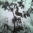 영복축산 이미지