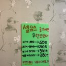 일산 윤곽관리 추천 😍 미즈슬림 엄마랑 데콜테 골근 매직트리 케어 솔직 후기 💆‍♀️✨