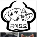 콩이묘묘 이미지