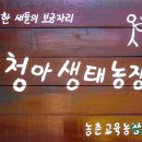 서정호농장 네이버블로그