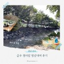 원더팜 | 공주 원더팜 평상대여 내돈내산 후기｜3동 수국정원관 308호 이용 후기 및 계곡 수심, 주차, 편의시설...
