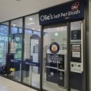 올리스 남양주별내점 이미지