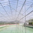 금성면 농공단지 이미지