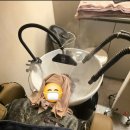 헤어율 - 수영구 민락본동로31번길 22 | 헤어율