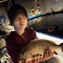 원실내낚시터 이미지