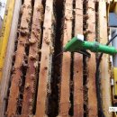 응애농원 이미지