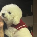 전라도싱싱횟집 이미지