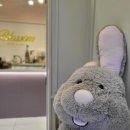 여수블라썸호텔 앤 카페 이미지