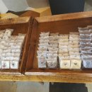 중일유치원 이미지