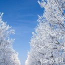 임마누엘 이미지