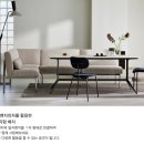 도노 티스토리