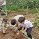 푸른꿈농장 이미지